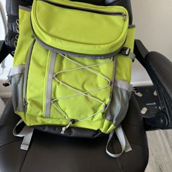 Cooler Backpack 