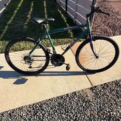Pair of 21 Speed Mountain Bikes