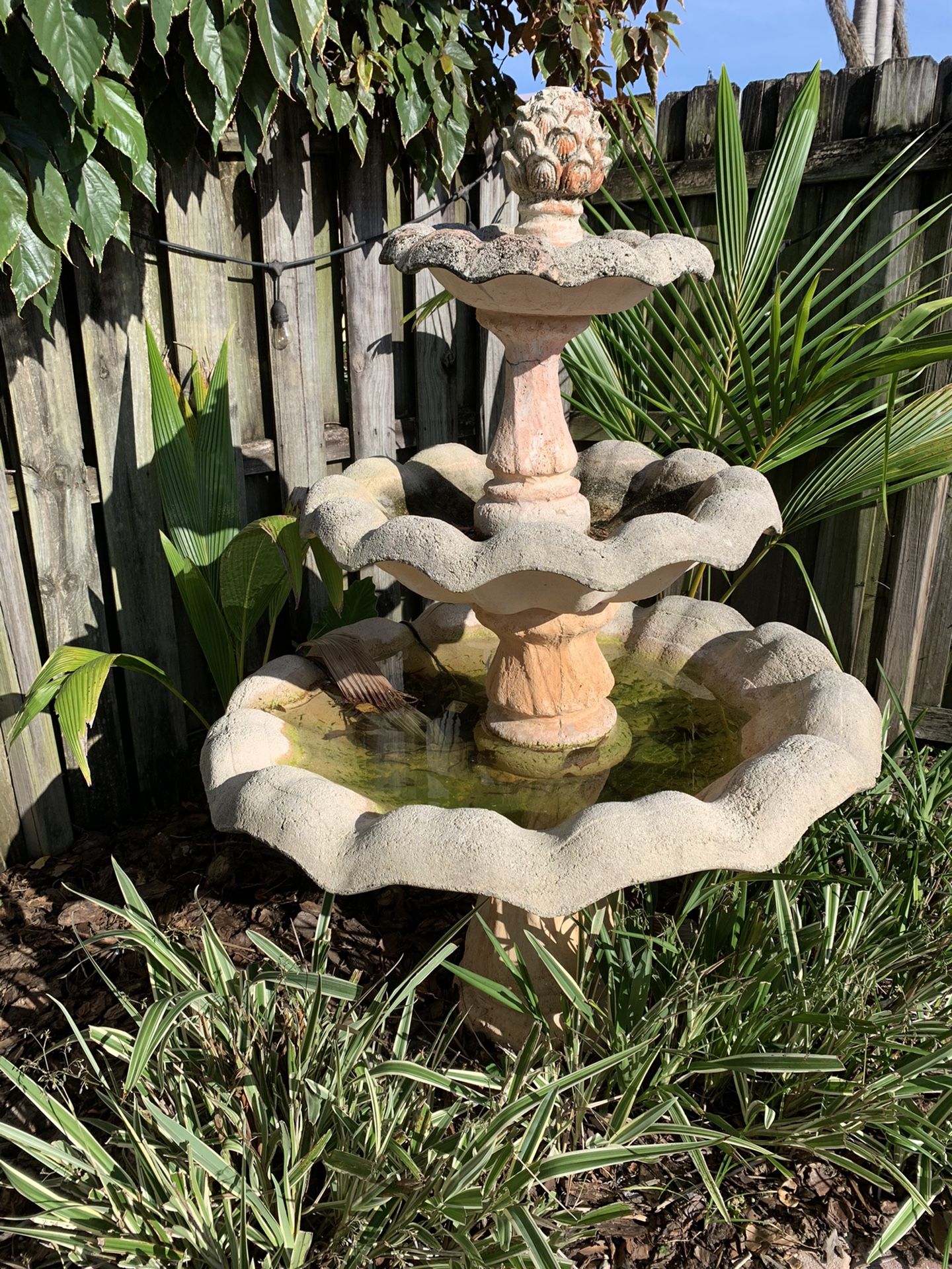 Concrete Fountain