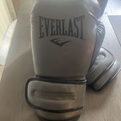 Ever last boxing glove gloves
