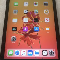Ipad Air 1 Wi-Fi 16 Gb Great Condition Unlocked 