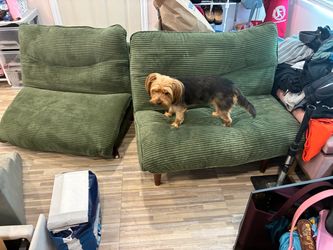 Futon couch/chairs