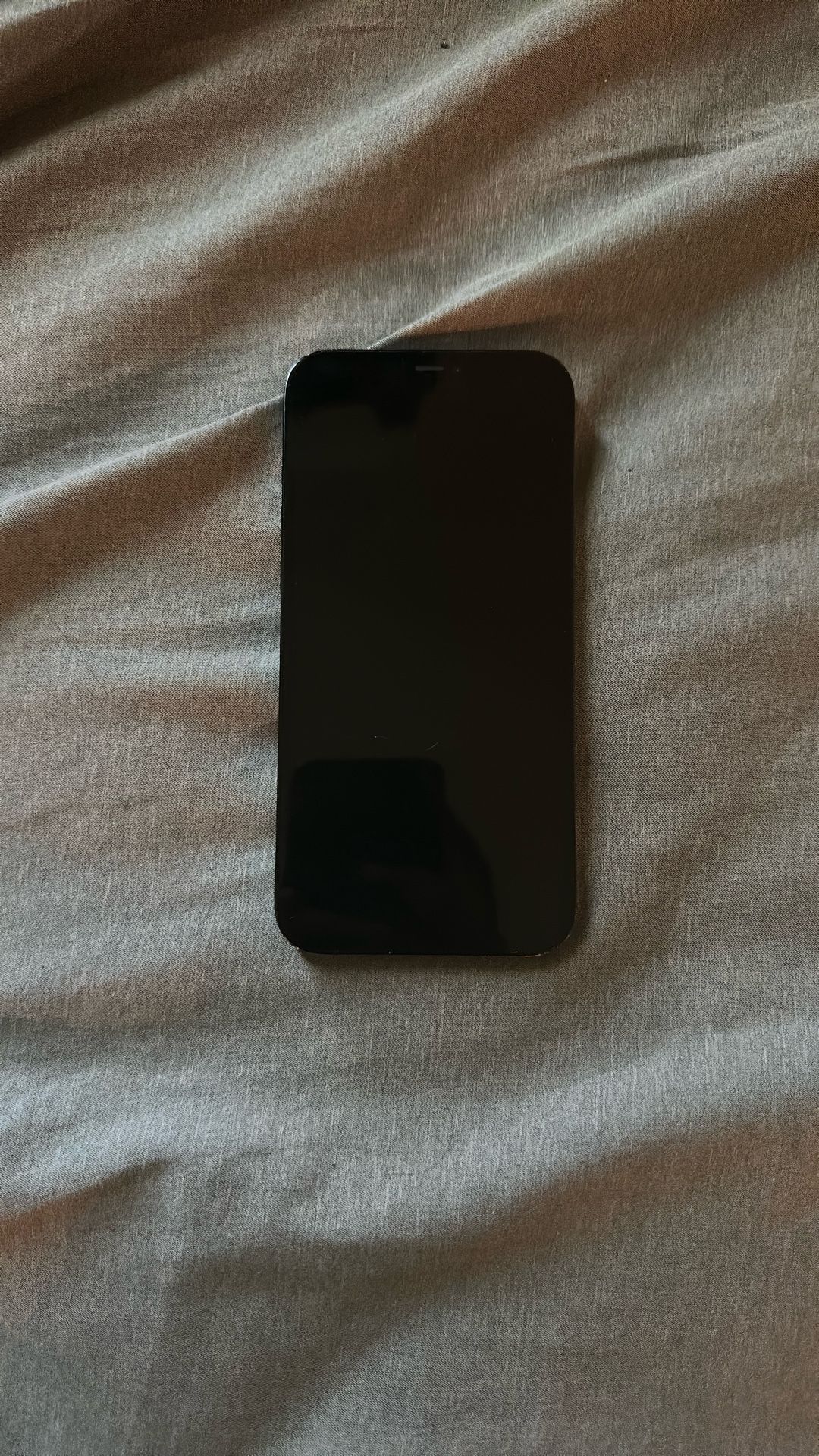 IPhone 12 Pro Max Blue