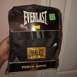 Everlast punch mitts