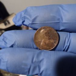 №065.(1982) Wt:3.12 Lincoln Penny No Mint Mark