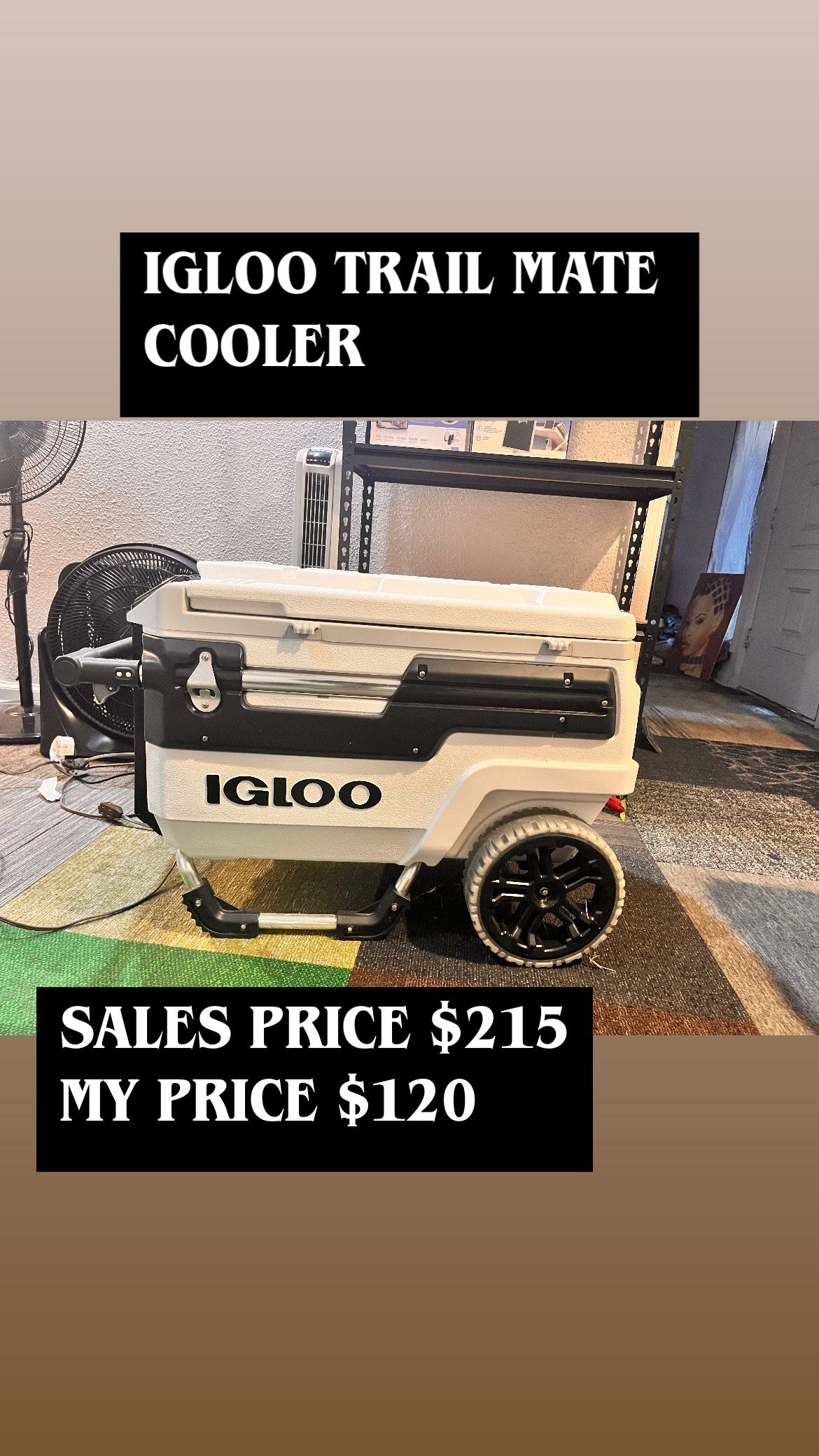 Igloo Trail mate Cooler