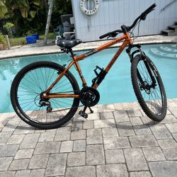 GENESIS 29 21 SPEED BIKE 