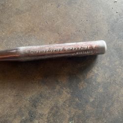 Soft Ball Bat