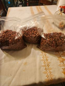 Dog food