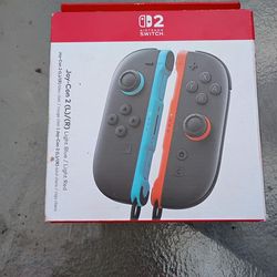 Nintendo Switch Joy 2