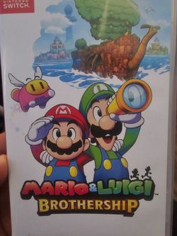Mario and lugi brothership