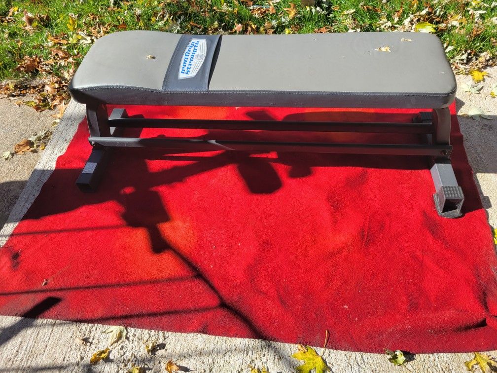 IRON STRENGTH FLAT BENCH WITH DUMBBELL RAIL UNDERNEATH
EXCELLENT CONDITION
11525 S HALSTED DUNKIN DONUTS
35$ CASH ONLY AS IS