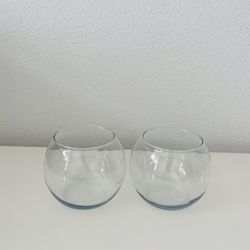 Set of Two, Glass Pot For Plants 🪴 Succulent / Cactus 🌵 