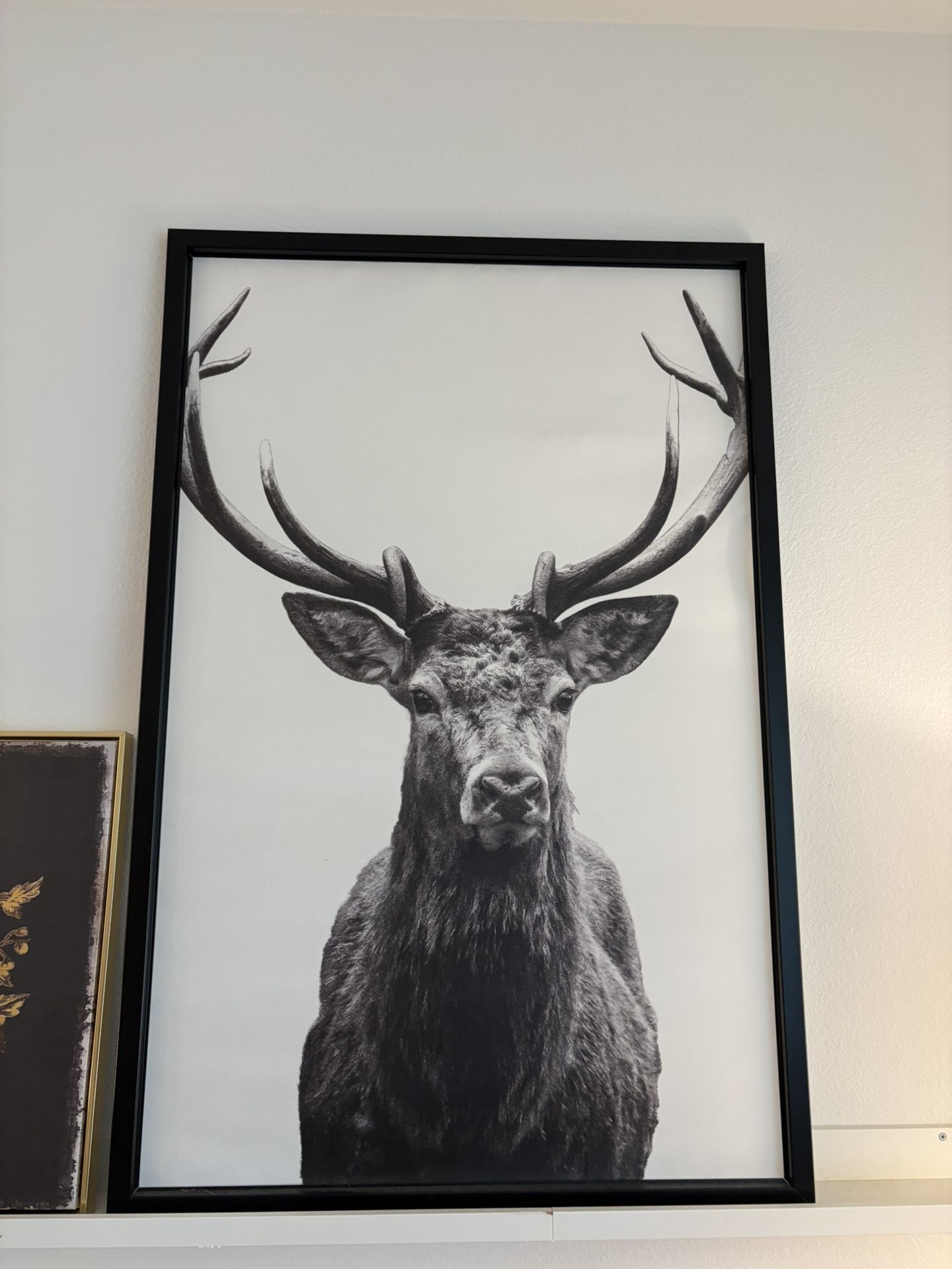 IKEA BJORKSTA Picture Deer Horns with black frame