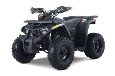 DENAGO Mudhawk 10FI ATV - Fuel Injected - Youth ATV