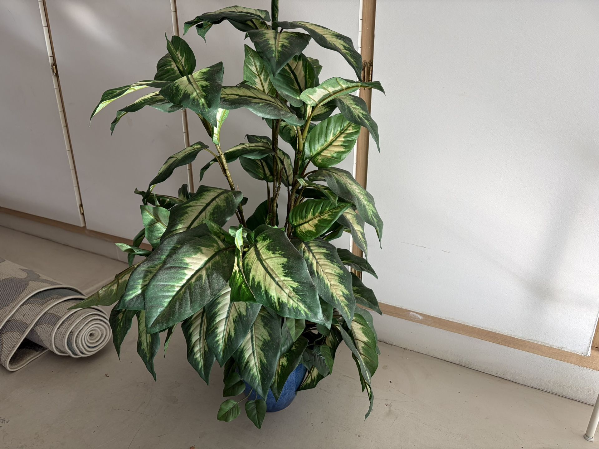 Silk Dieffenbachia Plant In Ceramic Pot