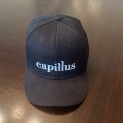 Capillus Plus