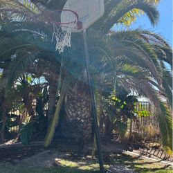 Basketball hoop