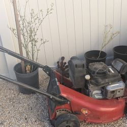 Commercial Toro Lawn Mower Comes With Grass Catcher Clutch On Blade Everything Works Perfect Kawasaki Motor
