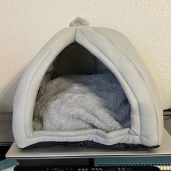 Pet House With Removable Bed