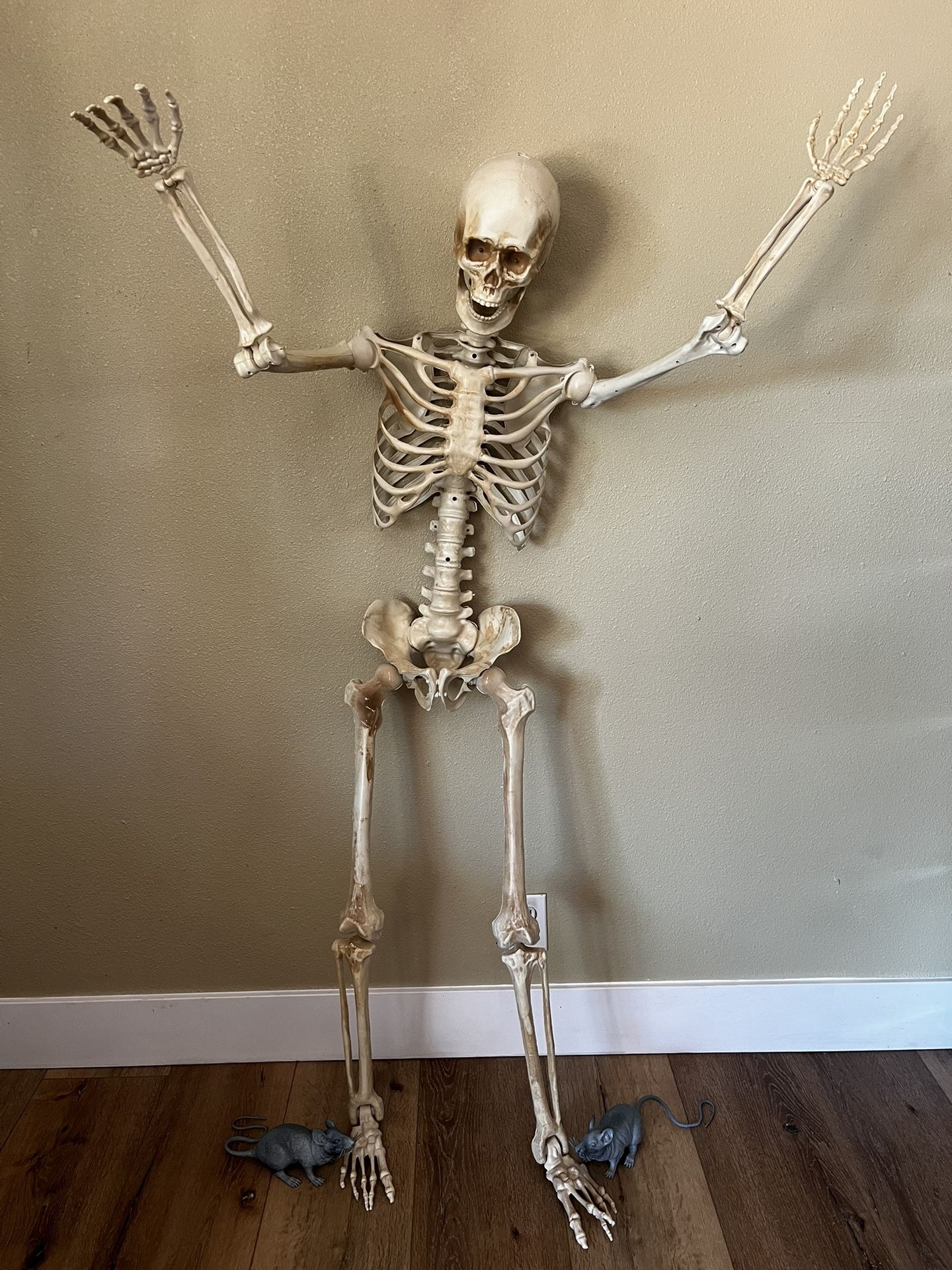 5ft Posable Skeleton With Light Up Eyes 