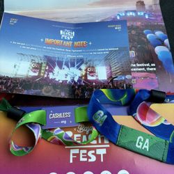 Baja Beach Fest Ticket