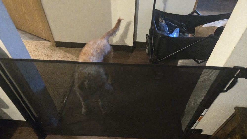 Roll Up Dog Gate