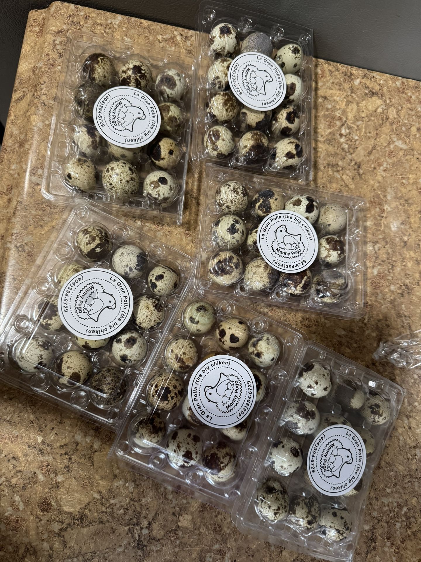 Fresh Quail Eggs