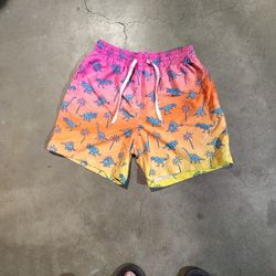 chubbie's swim shorts