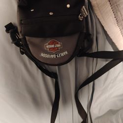 Small Harley Davidson Bag 
