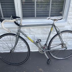 Trek 330 Custom Road Bike