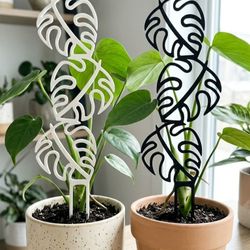 Fenestrated Monstera Leaf Plant Support Trellis