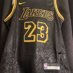 NBA 2023 2024 Men's Los Angeles Lakers LeBron James #23 Nike City Edition