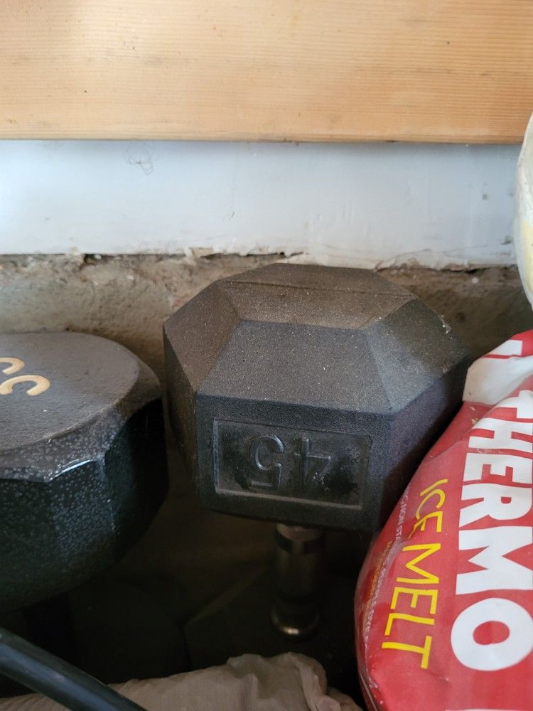 One 45lb Dumbbell