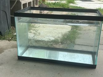 10 Gallon Tank