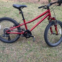 Specialized Hot Rock kids bike