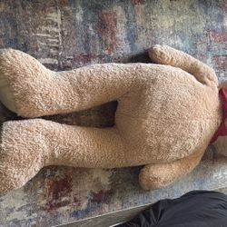 Big Teddy Bear