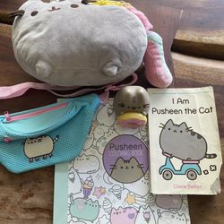 PUSHEEN ITEMS
