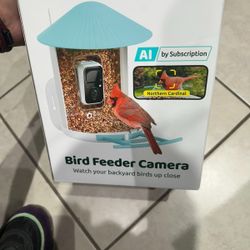 Smart Bird Feeder With camera