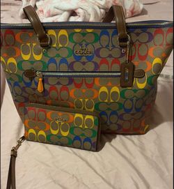 Rainbow coach bag