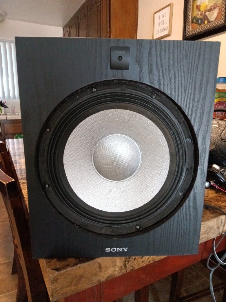 100 Watt Powered Subwoofer