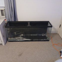 Fish Tank And Accessories 