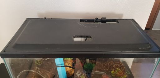 10 GALLON FISH TANK WITH EXTRAS for Sale in Lacey, WA - OfferUp