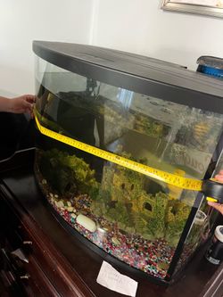Fish tank