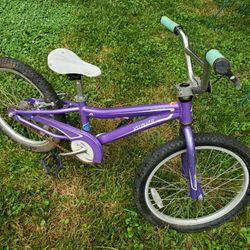 Kid's Bike.  (20 inch Wheel Size) A to Z Everything perfectly Operational 
