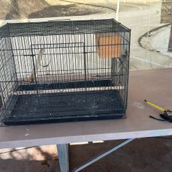 Bird Cage