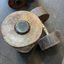 76 LB DUMBBELLS (PAIR) – HEAVY DUTY
