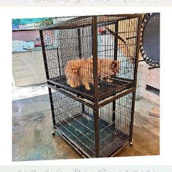 Pet Cages in Various Sizes to Match Every Animal you court