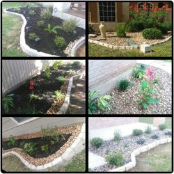 Mulch, rock, chopped ledgestone, and plants