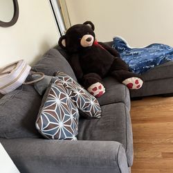 Oso  de Peluche gigante